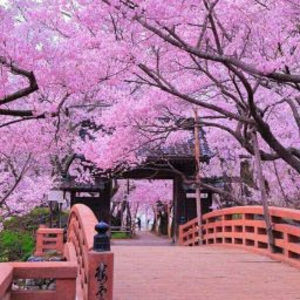 Meet your Posher, Noemi